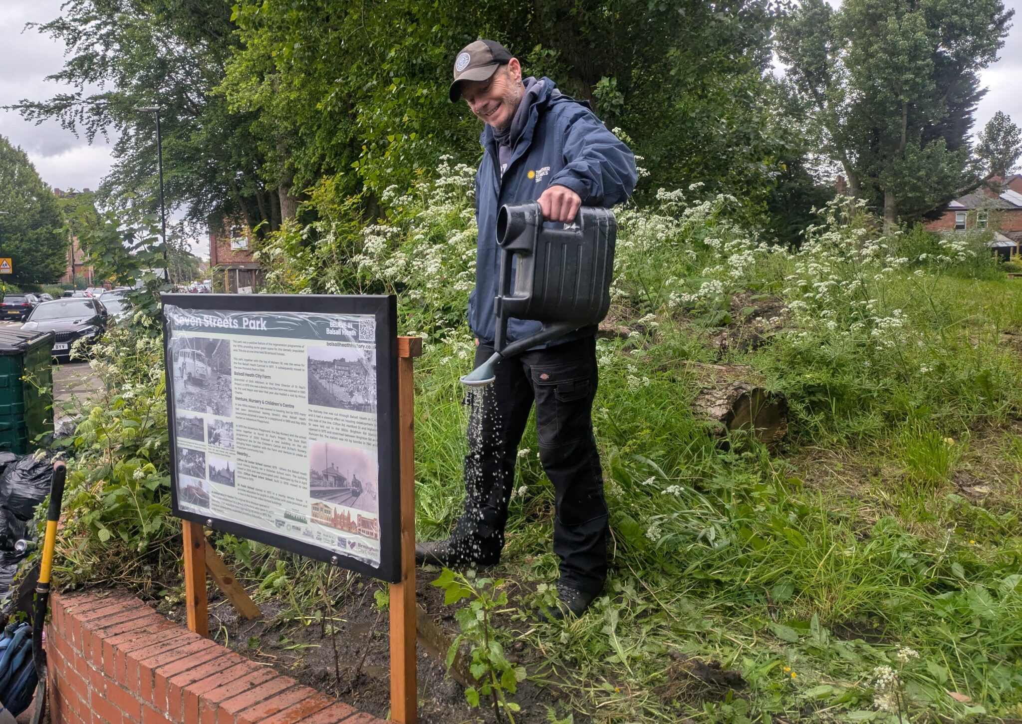 Hywell waters the sunflowers by our new history panel, Seven Streets Park